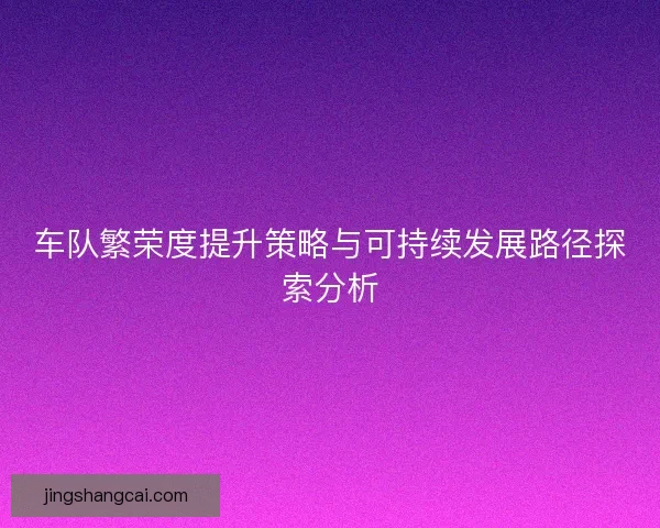 车队繁荣度提升策略与可持续发展路径探索分析