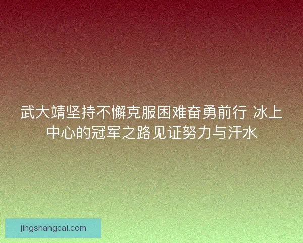 武大靖坚持不懈克服困难奋勇前行 冰上中心的冠军之路见证努力与汗水